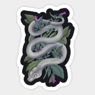 Belladonna Snake Sticker